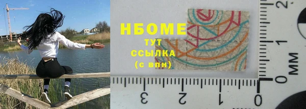 хмурый Алзамай