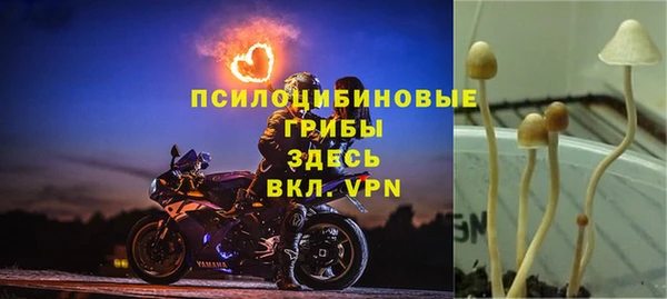 a pvp Алексин