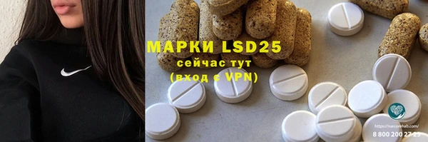 хмурый Алзамай
