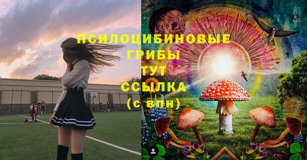 твердый Алексеевка